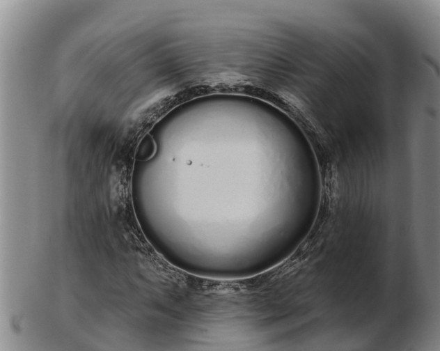 X0000103231063200809041020