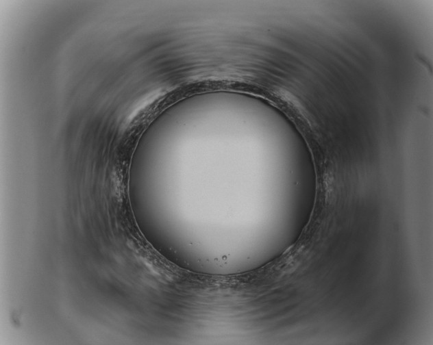 X0000103231064200809041020