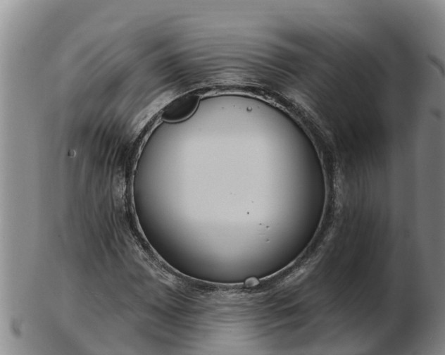 X0000103231065200809041020