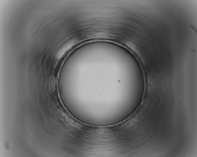 X0000103231067200809041020