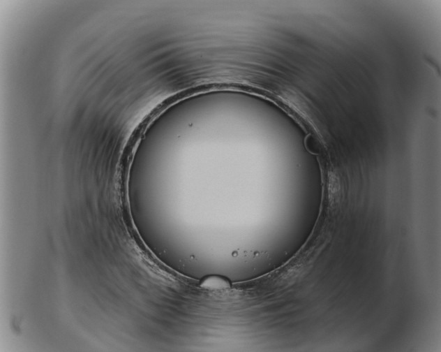 X0000103231068200809041020