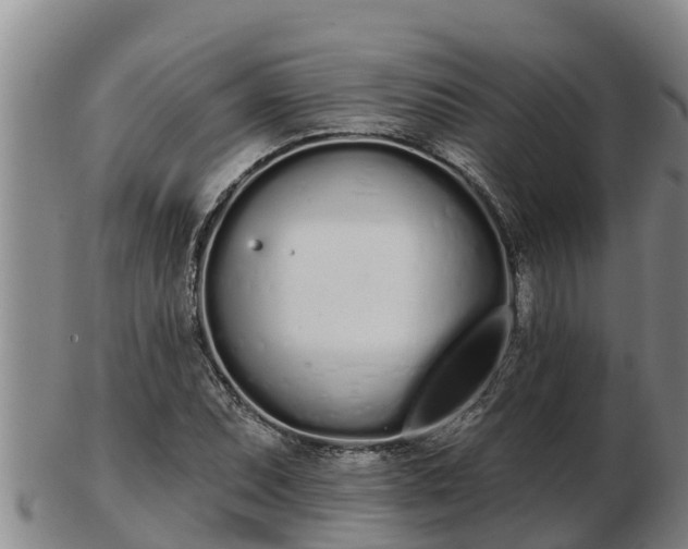X0000103231071200809041020
