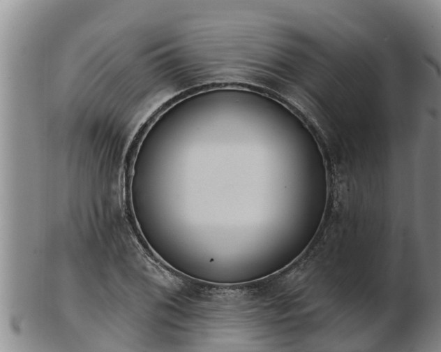 X0000103231076200809041020