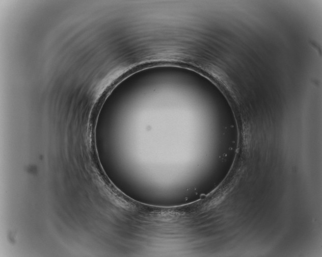 X0000103231077200809041020
