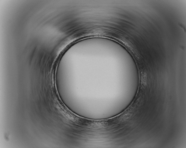 X0000103231078200809041020