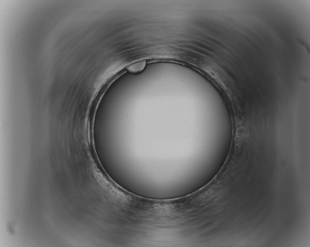 X0000103231080200809041020