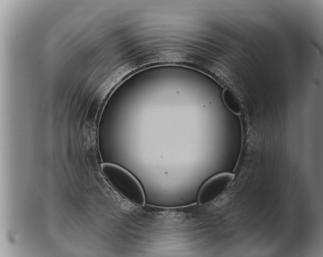 X0000103231081200809041020