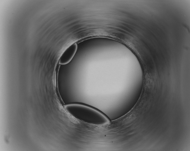 X0000103231084200809041020