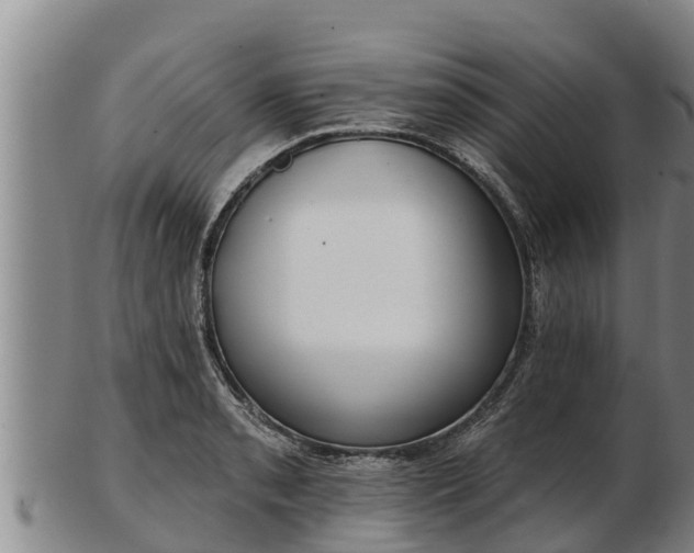 X0000103231085200809041019