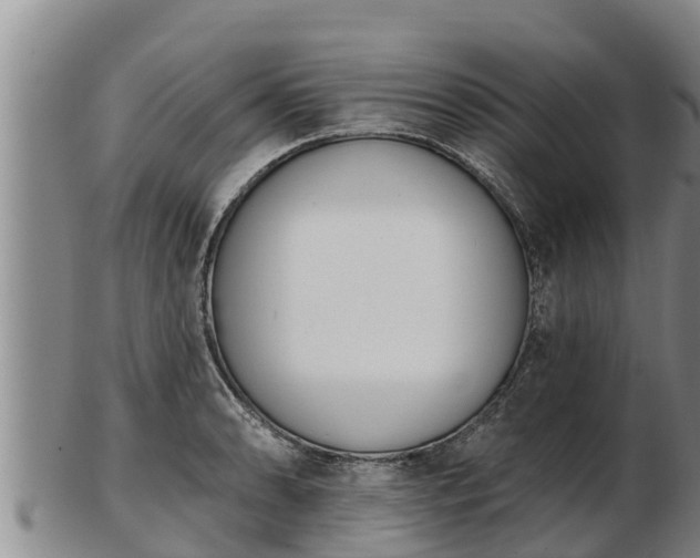 X0000103231086200809041019