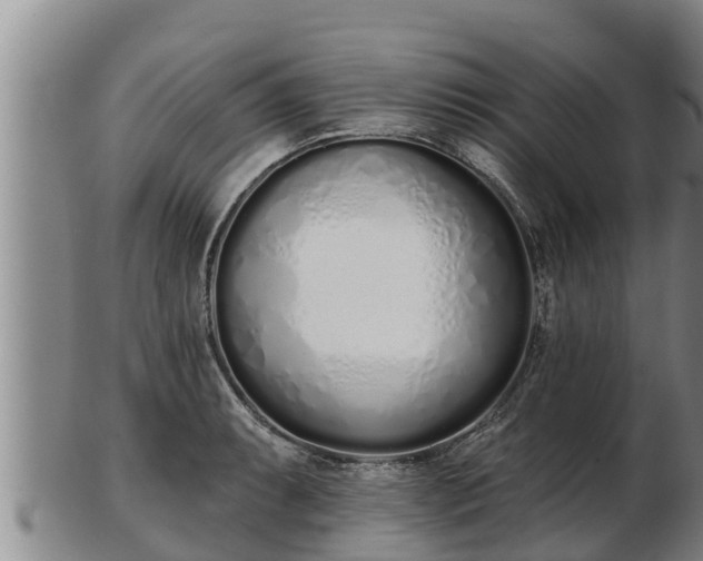 X0000103231087200809041019