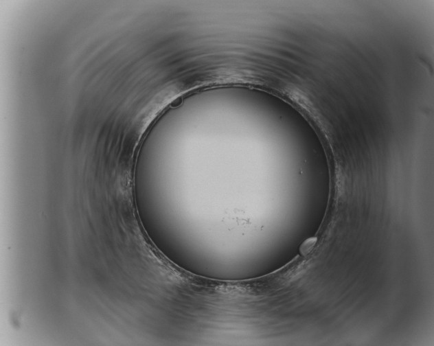 X0000103231089200809041019