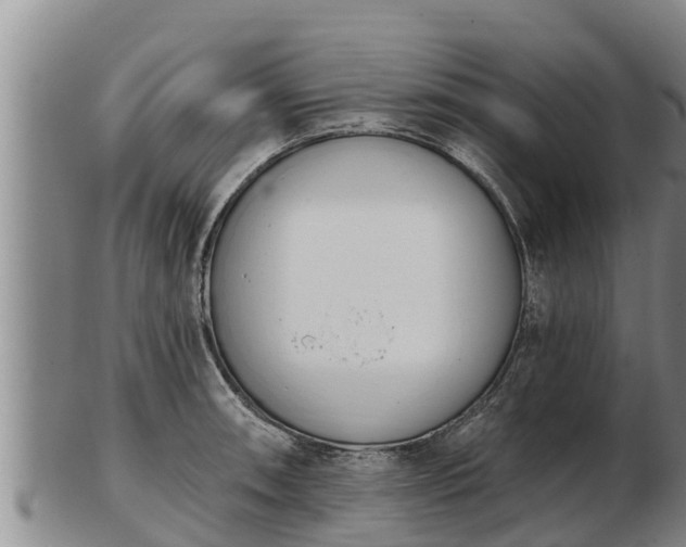 X0000103231090200809041019