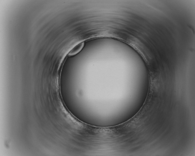 X0000103231092200809041019