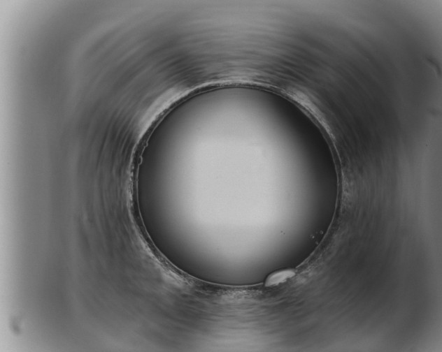X0000103231093200809041019