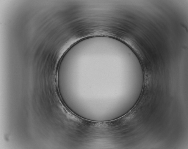 X0000103231094200809041019