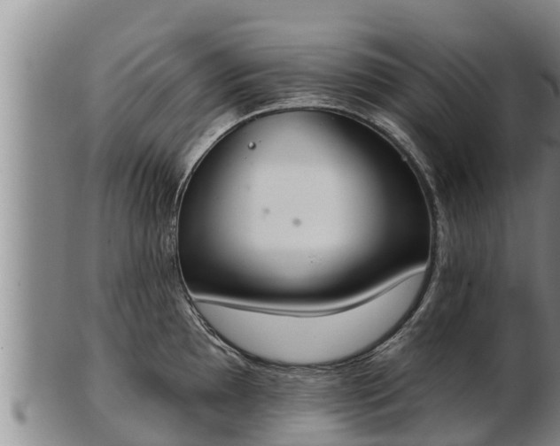X0000103231097200809041019