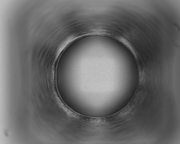 X0000103231099200809041019