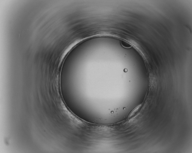 X0000103231100200809041019