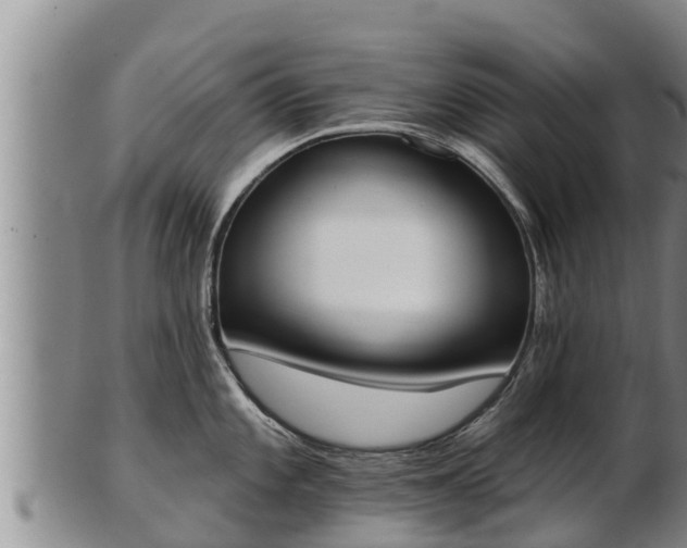 X0000103231101200809041019