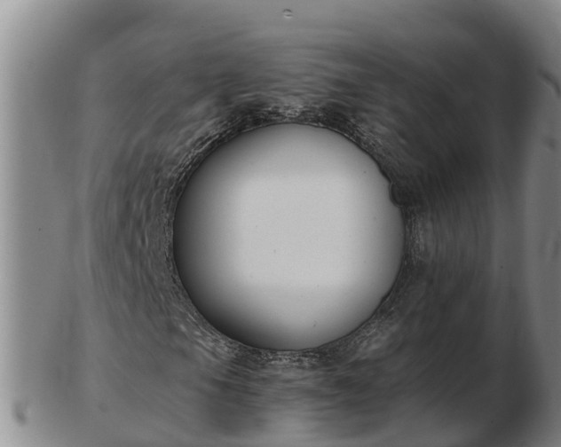 X0000103231105200809041019