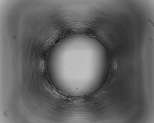 X0000103231108200809041019