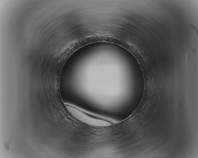X0000103231110200809041019