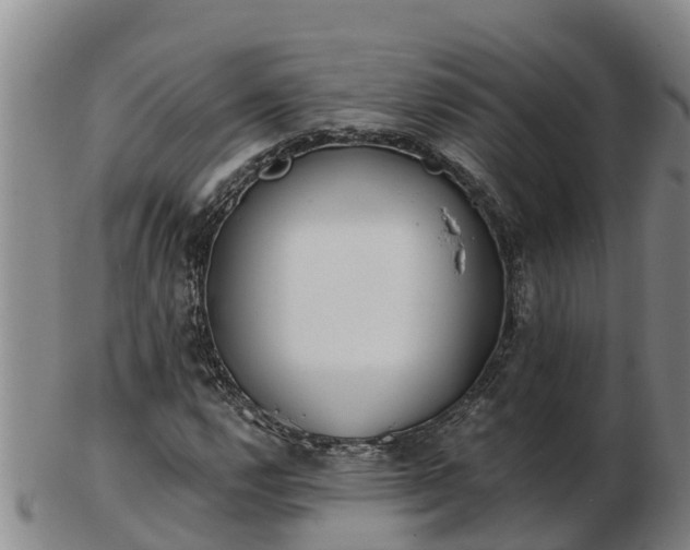 X0000103231112200809041019