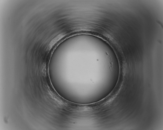 X0000103231113200809041019