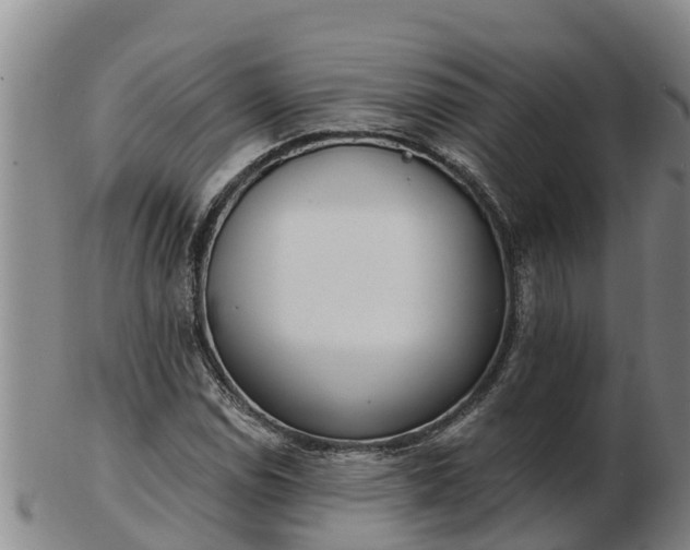 X0000103231114200809041019