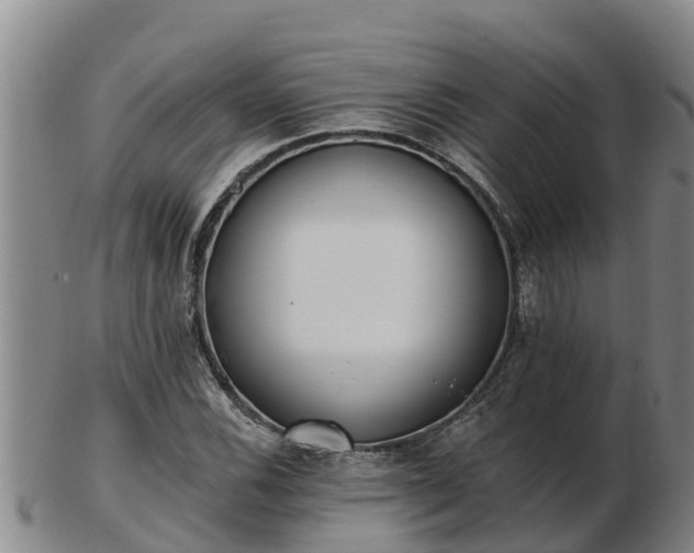 X0000103231116200809041019