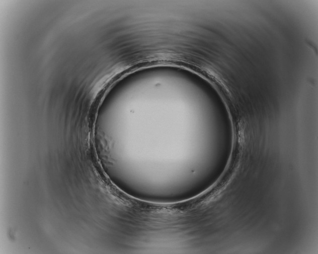 X0000103231117200809041019
