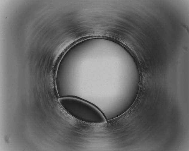 X0000103231120200809041019