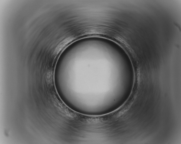 X0000103231121200809041019