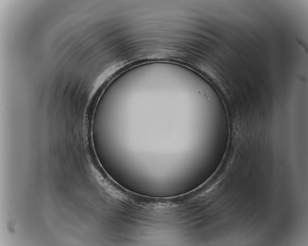 X0000103231122200809041019