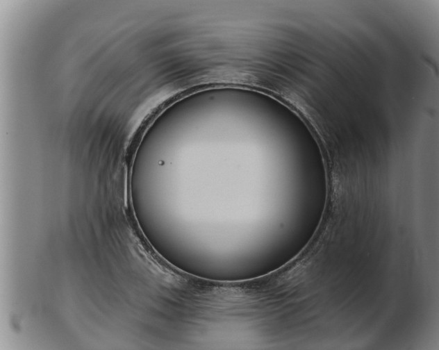 X0000103231123200809041019
