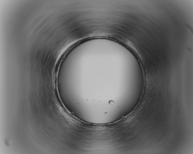 X0000103231124200809041019