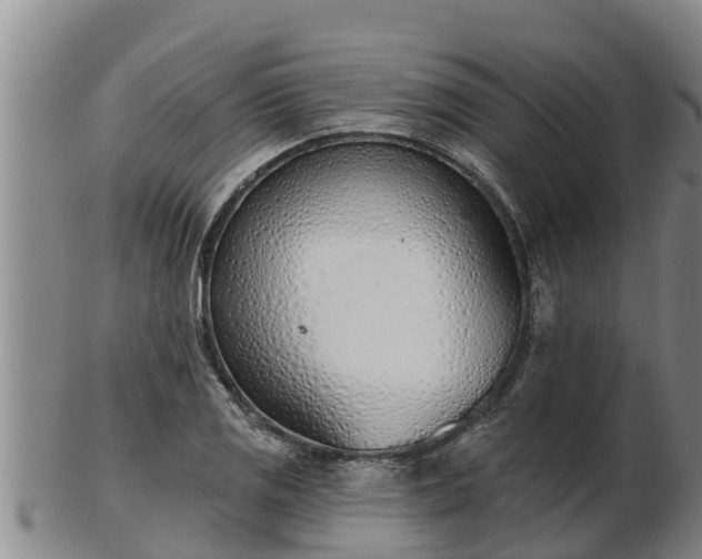 X0000103231125200809041019