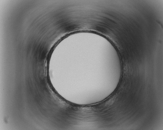 X0000103231126200809041019