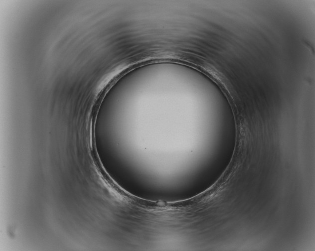 X0000103231127200809041019