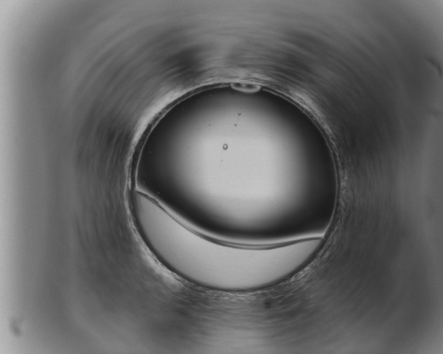 X0000103231136200809041019