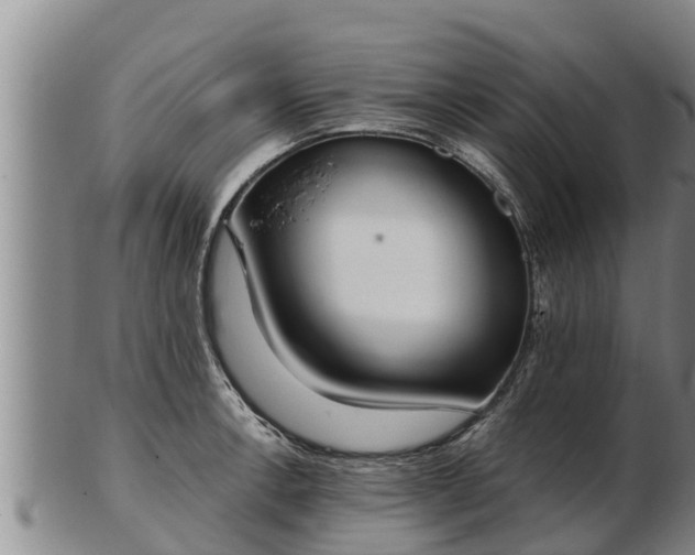 X0000103231138200809041019