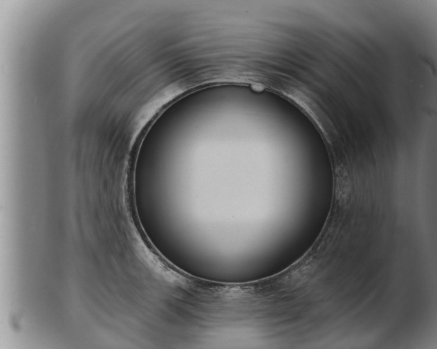 X0000103231139200809041019