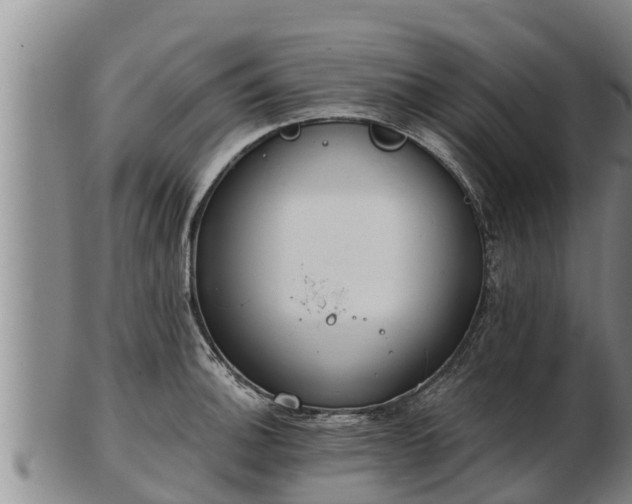 X0000103231140200809041019