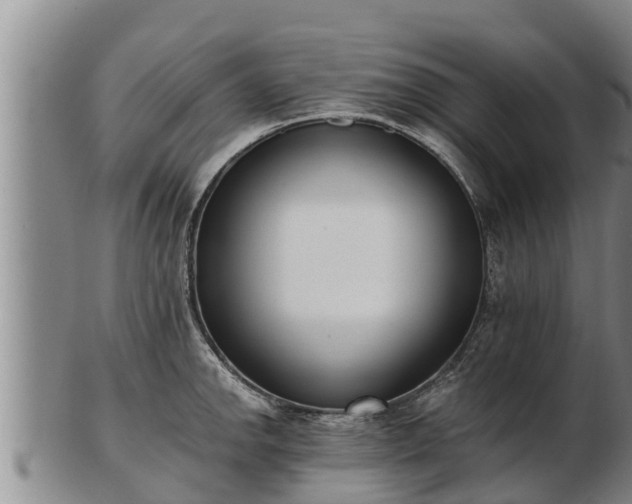 X0000103231142200809041019