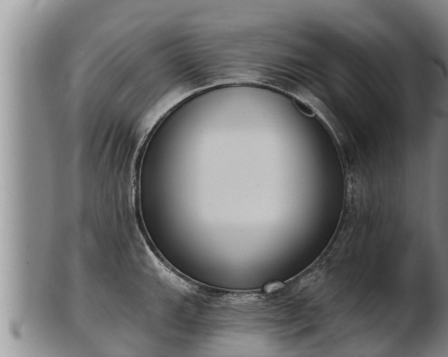 X0000103231143200809041019