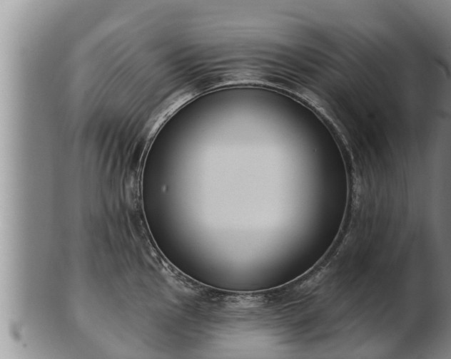 X0000103231145200809041019