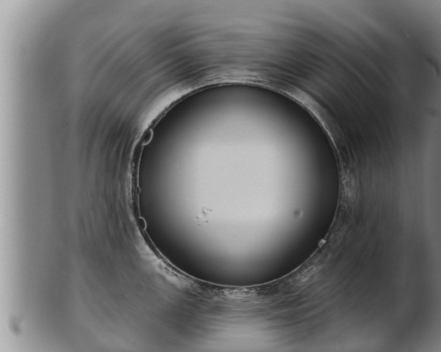 X0000103231147200809041019