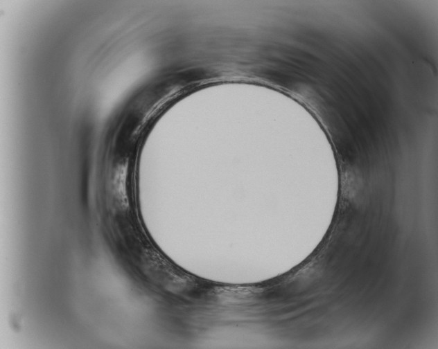 X0000103231150200809041019