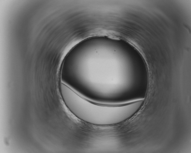 X0000103231152200809041019